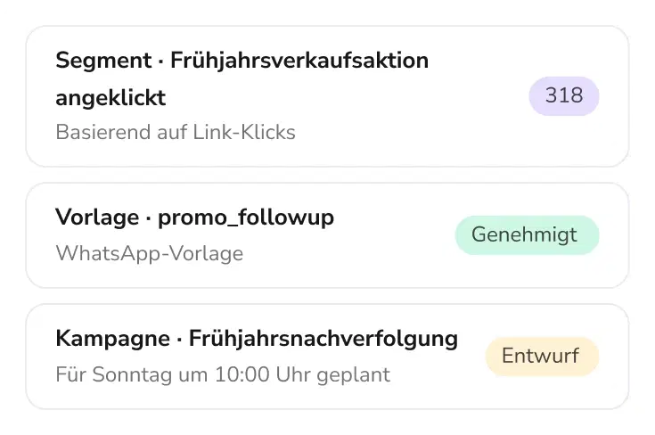 Von TopAgent vorbereitete Zielgruppe, Vorlage und Kampagne